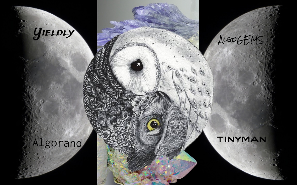 Owlgo Collage NFT on Algorand