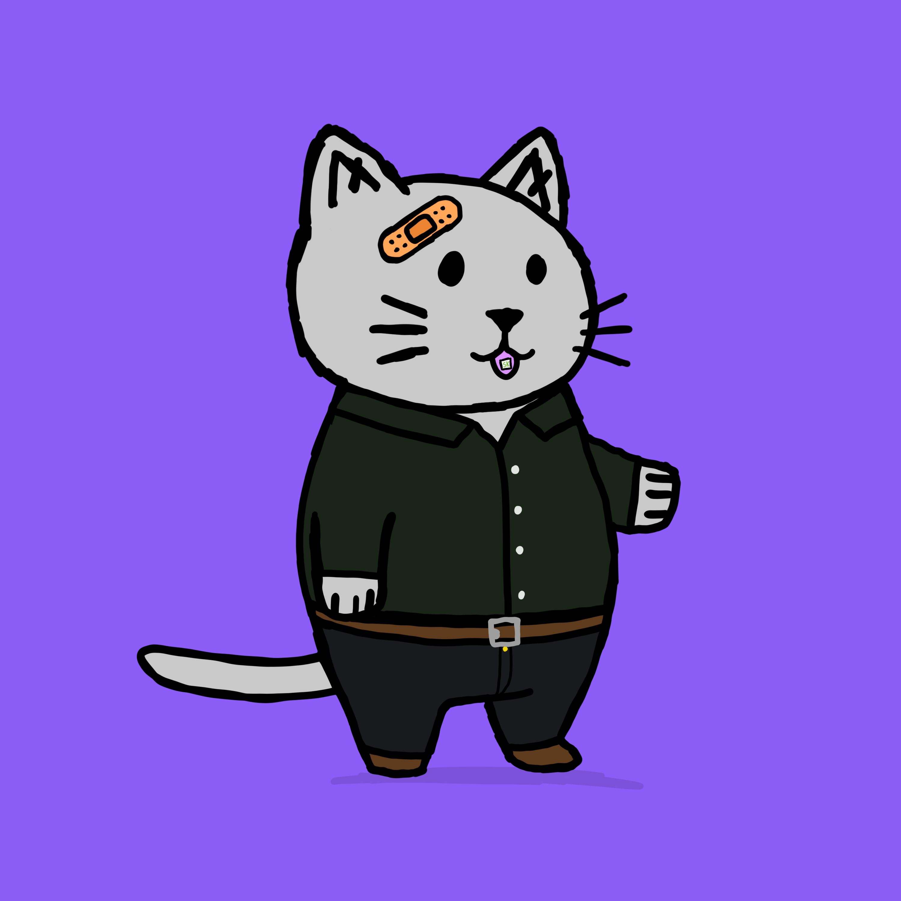 SK4L #893 NFT on Algorand