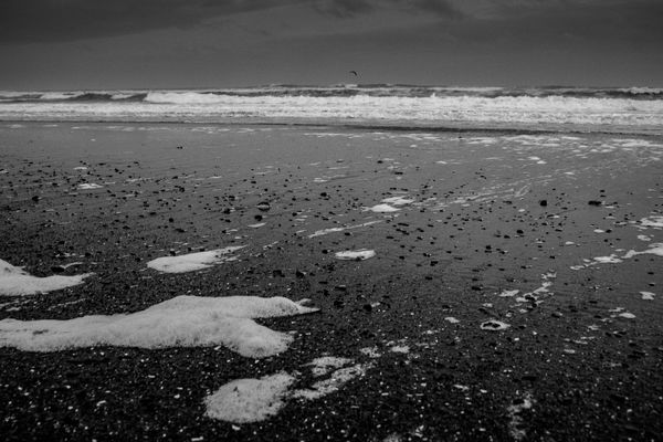 An image of BW Coast - Low Tide