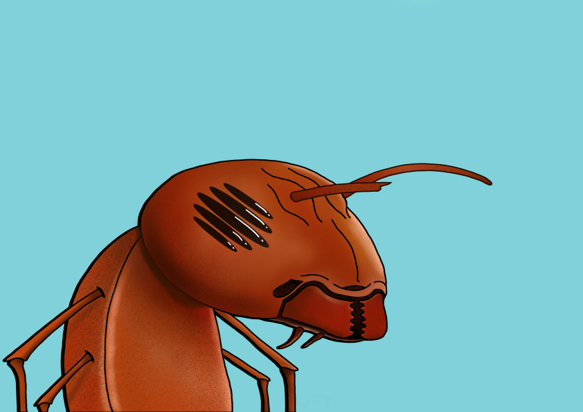 Algo Ant 203 NFT on Algorand