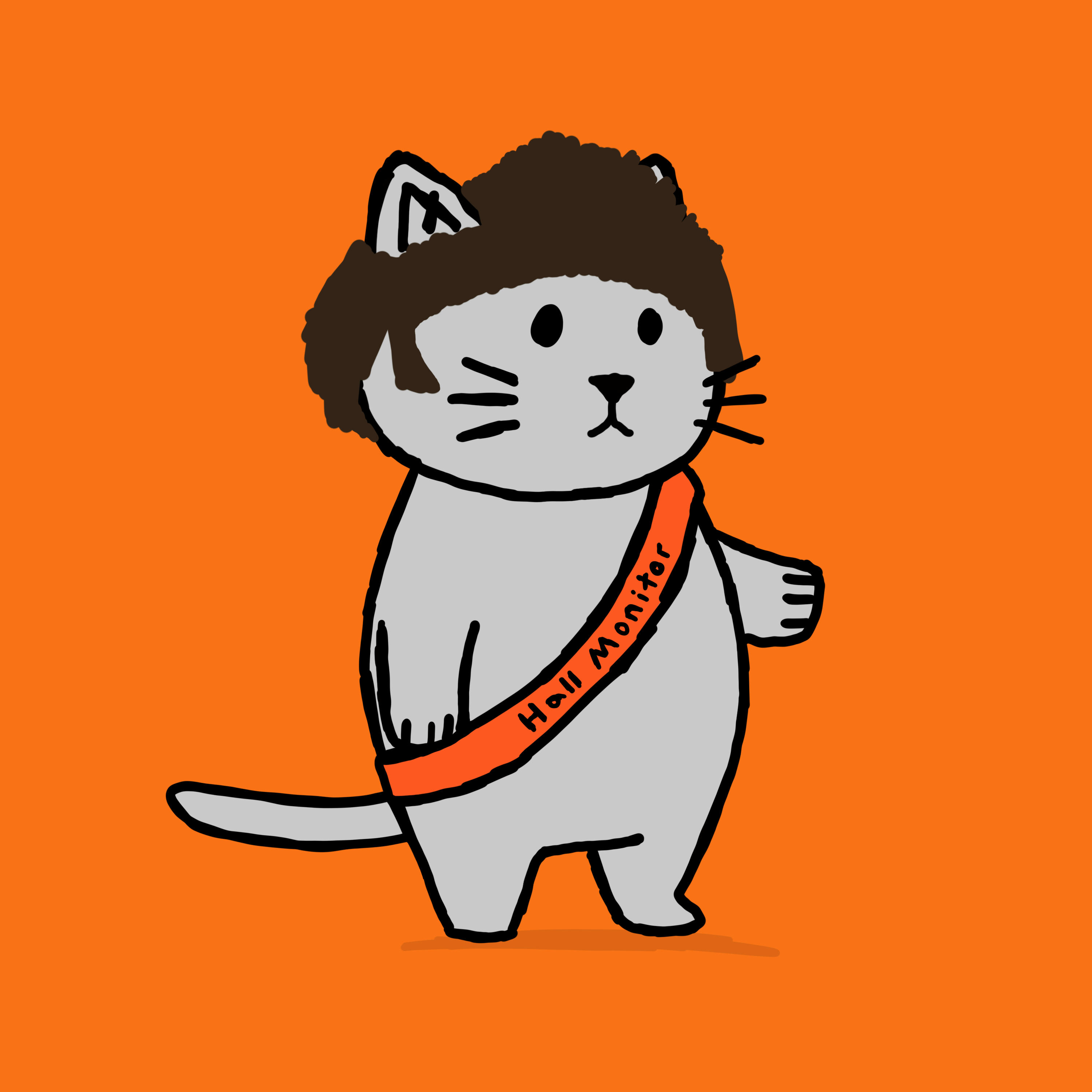 SK4L #1213 NFT on Algorand