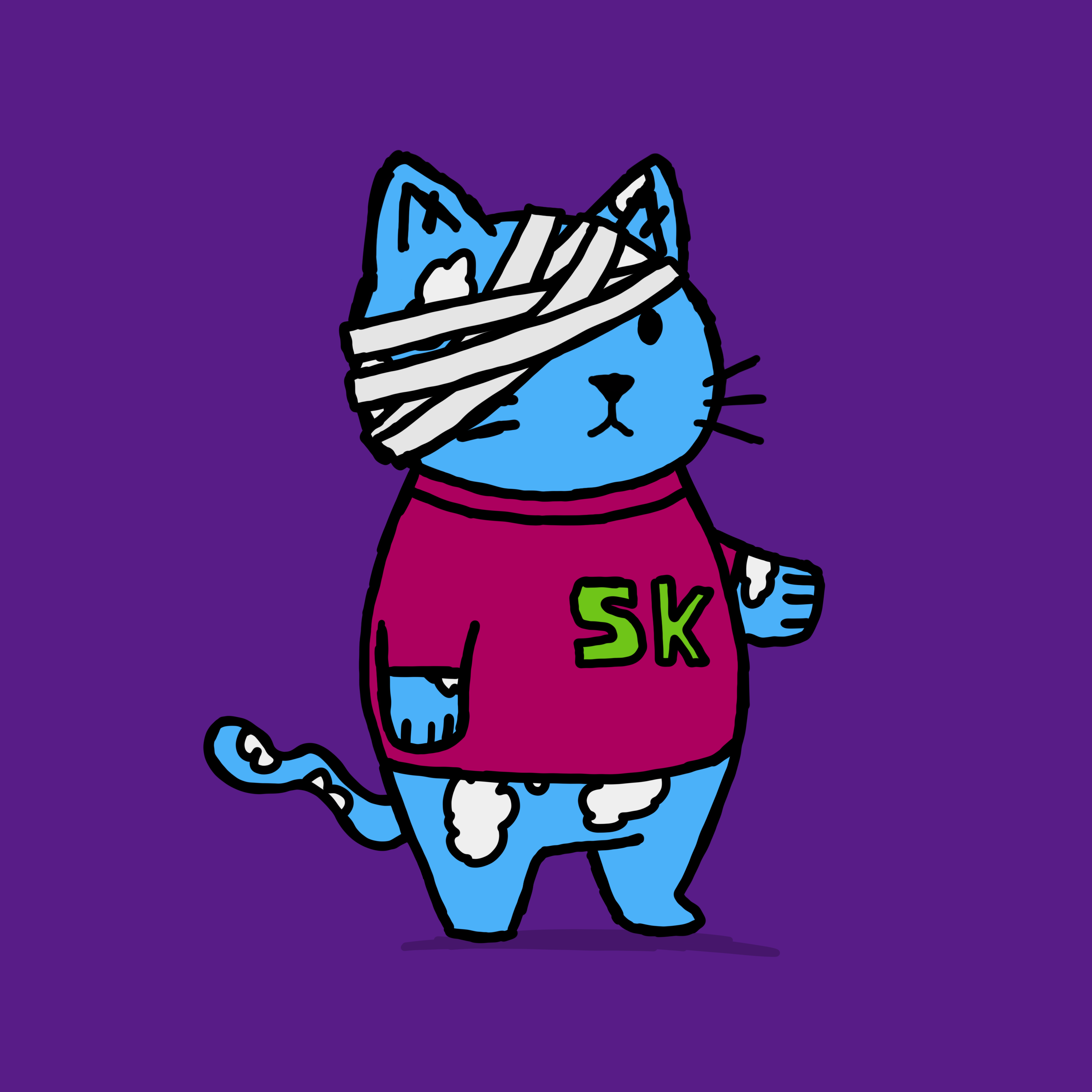 SK4L #1255 NFT on Algorand