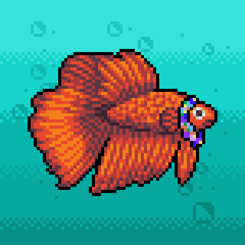 Fighting Fish #381 NFT on Algorand