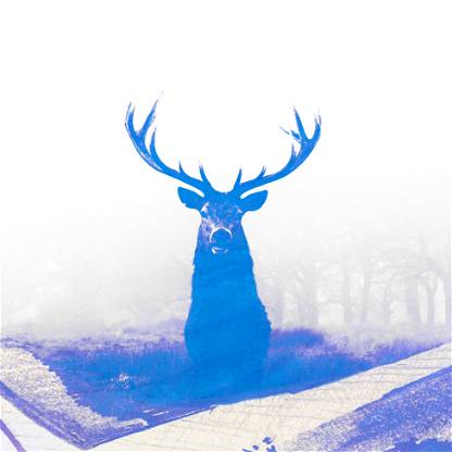 Blue Stag