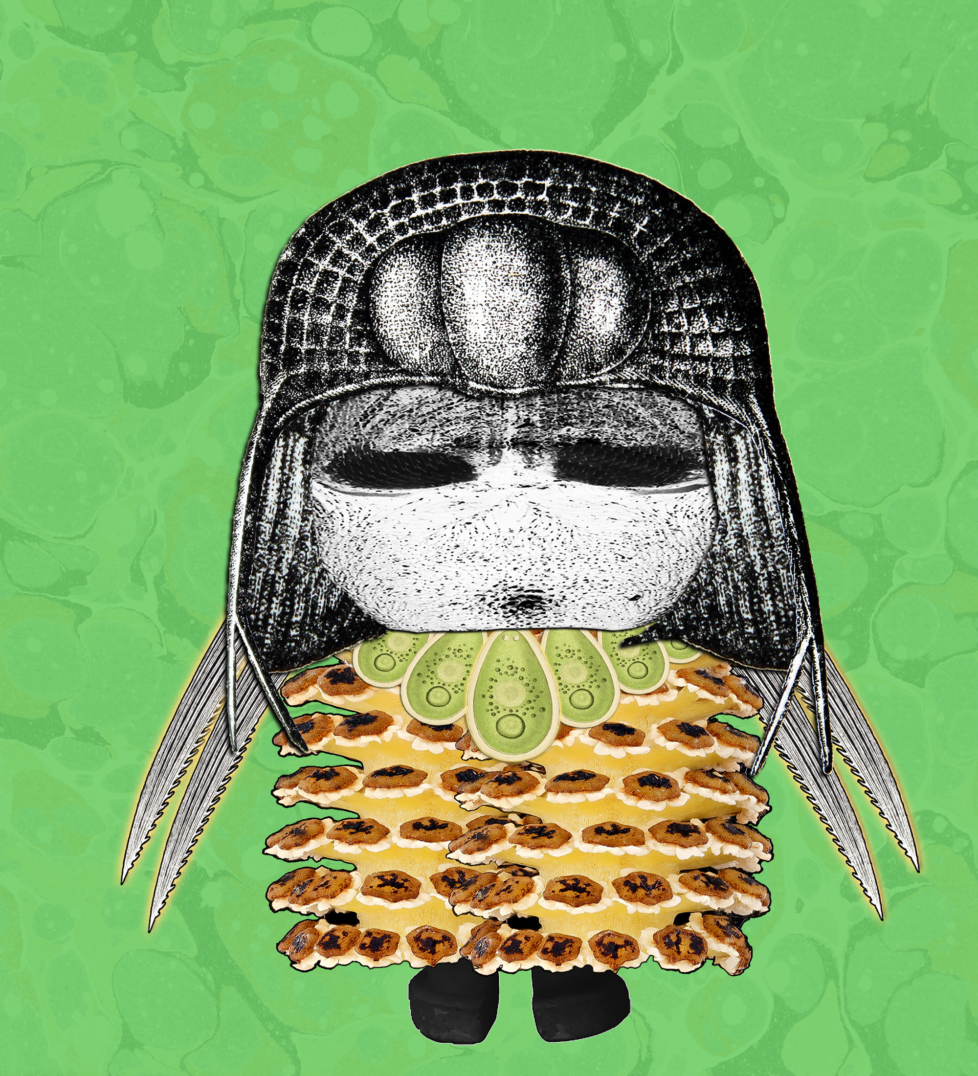 Hopium Warriors #394 NFT on Algorand