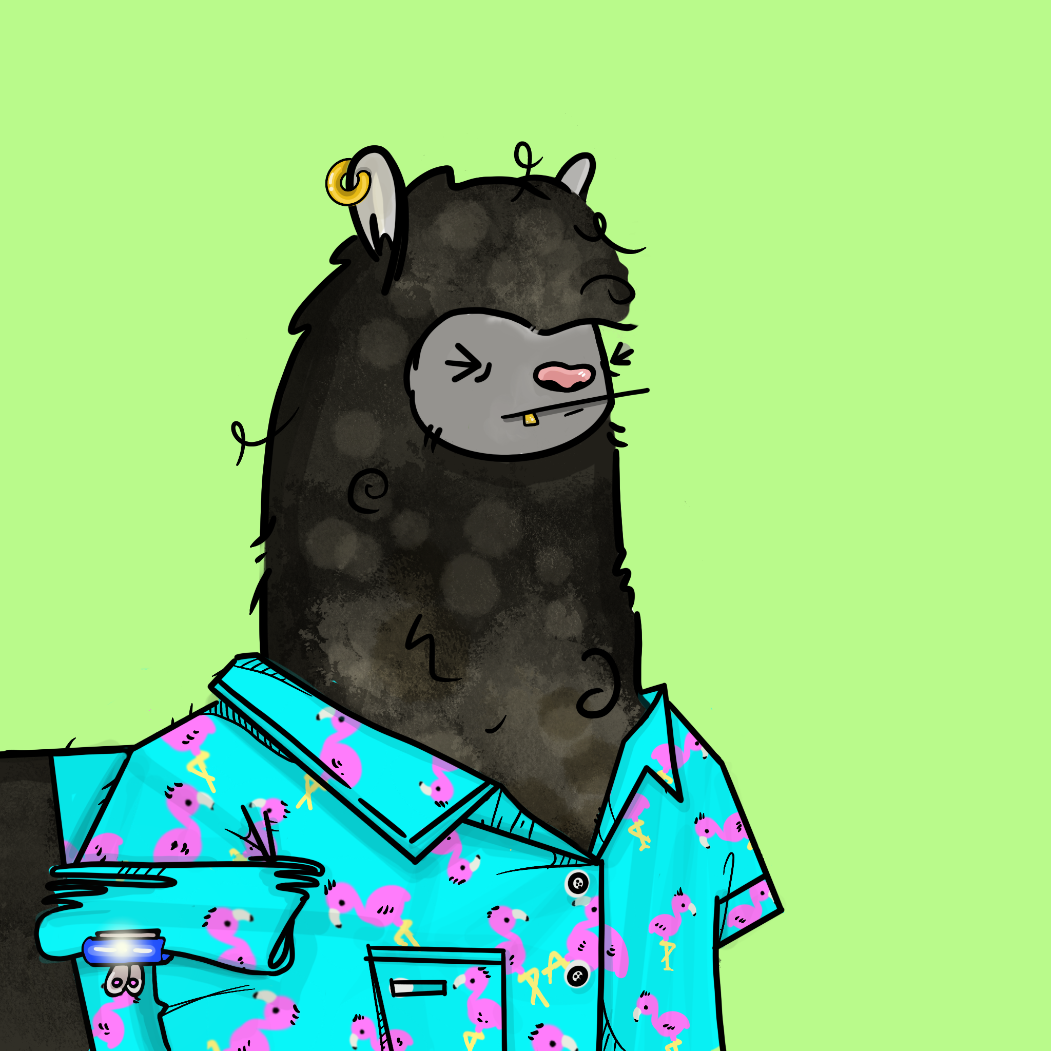 Nota Llama #997 NFT on Algorand