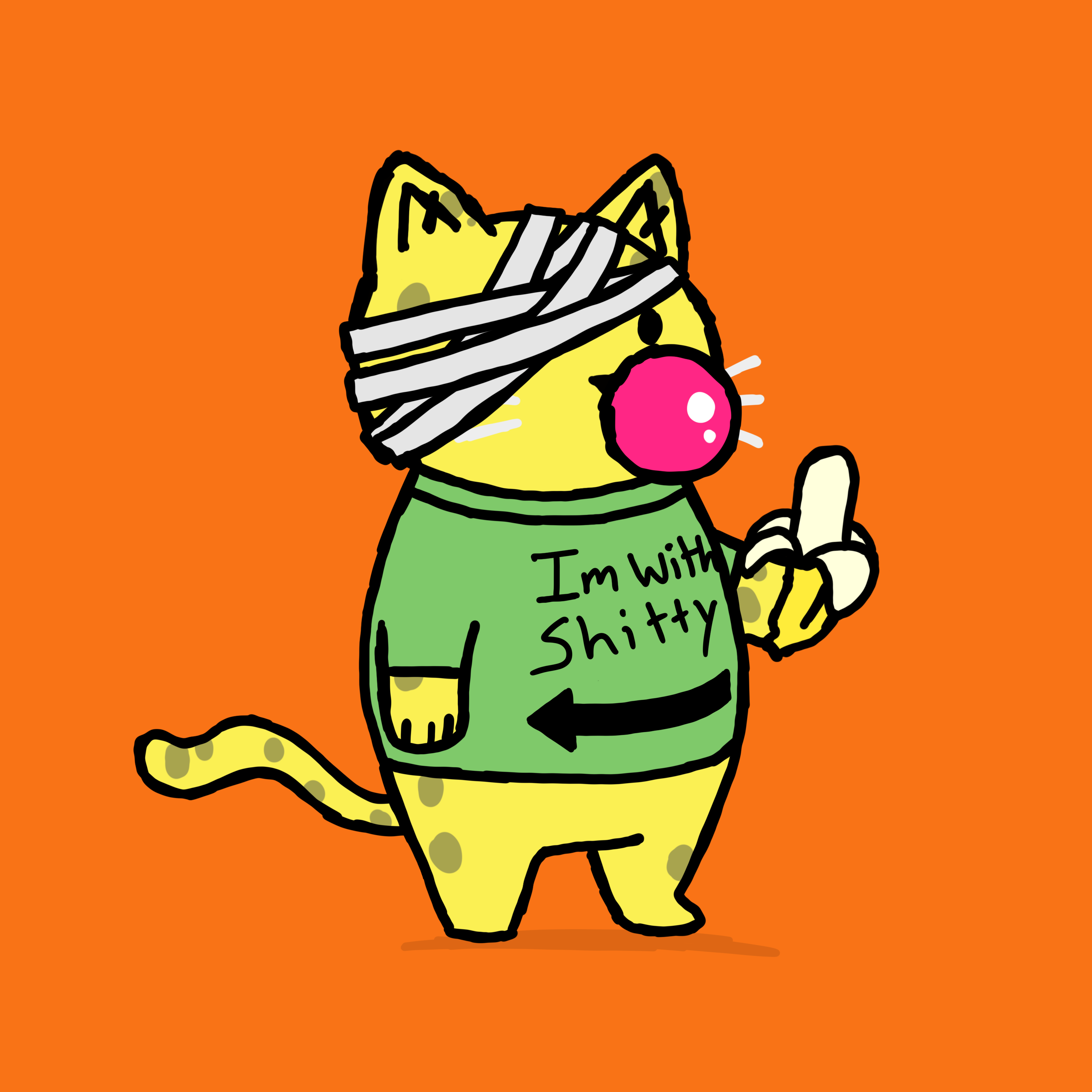 SK4L #1315 NFT on Algorand