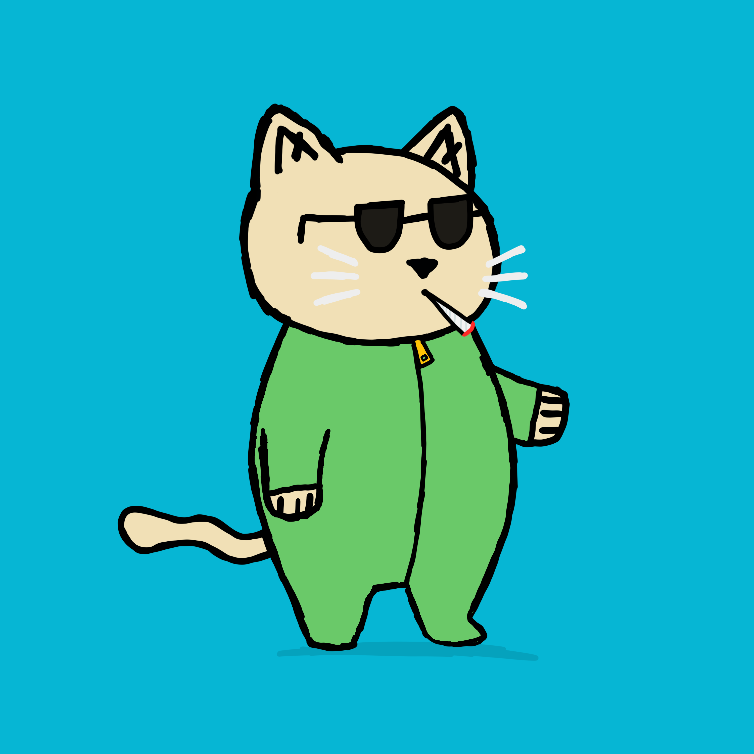 SK4L #294 NFT on Algorand