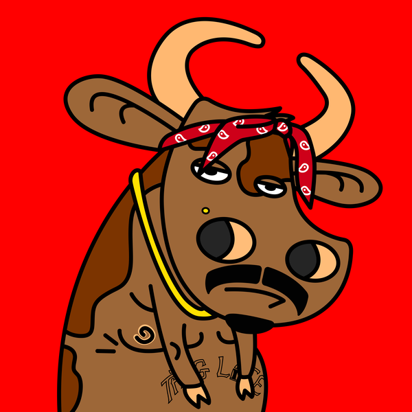 An image of MOO #16