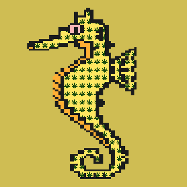 An image of Algo Seahorse #92 - 420 Friendly