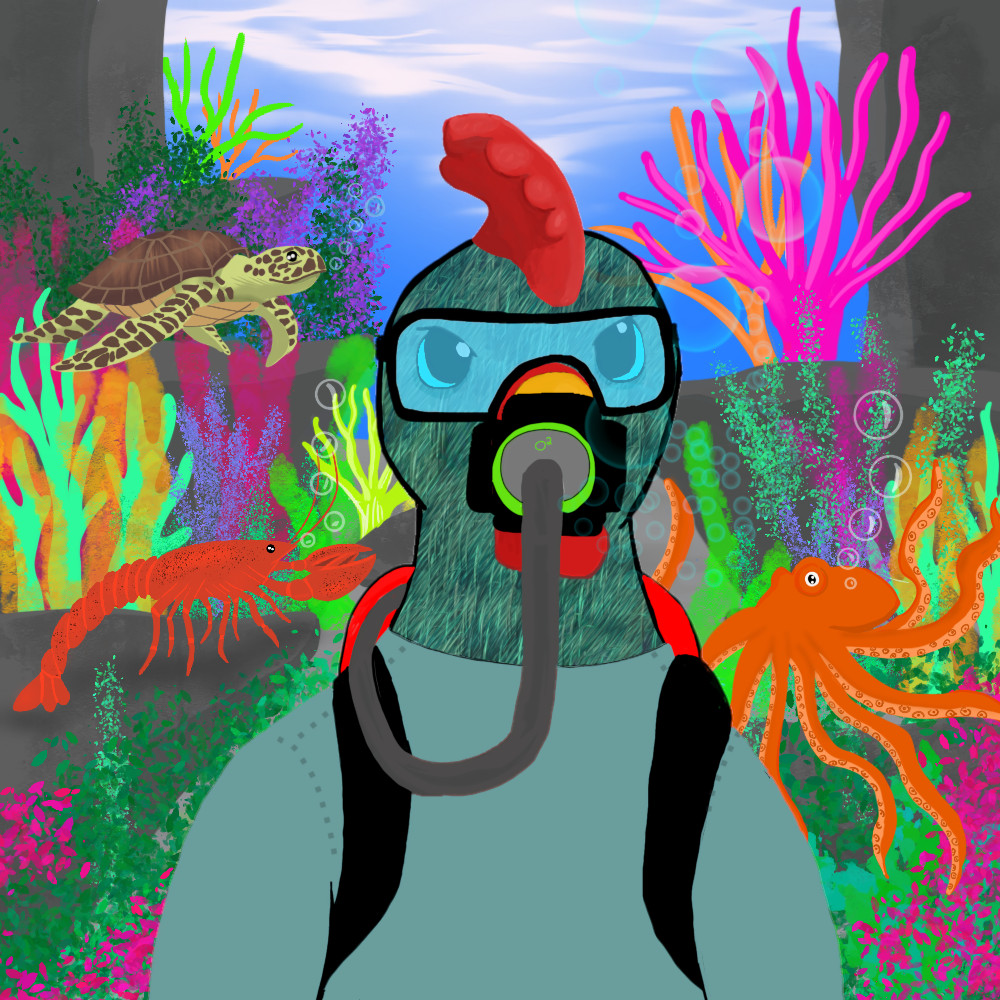 #244 NFT on Algorand