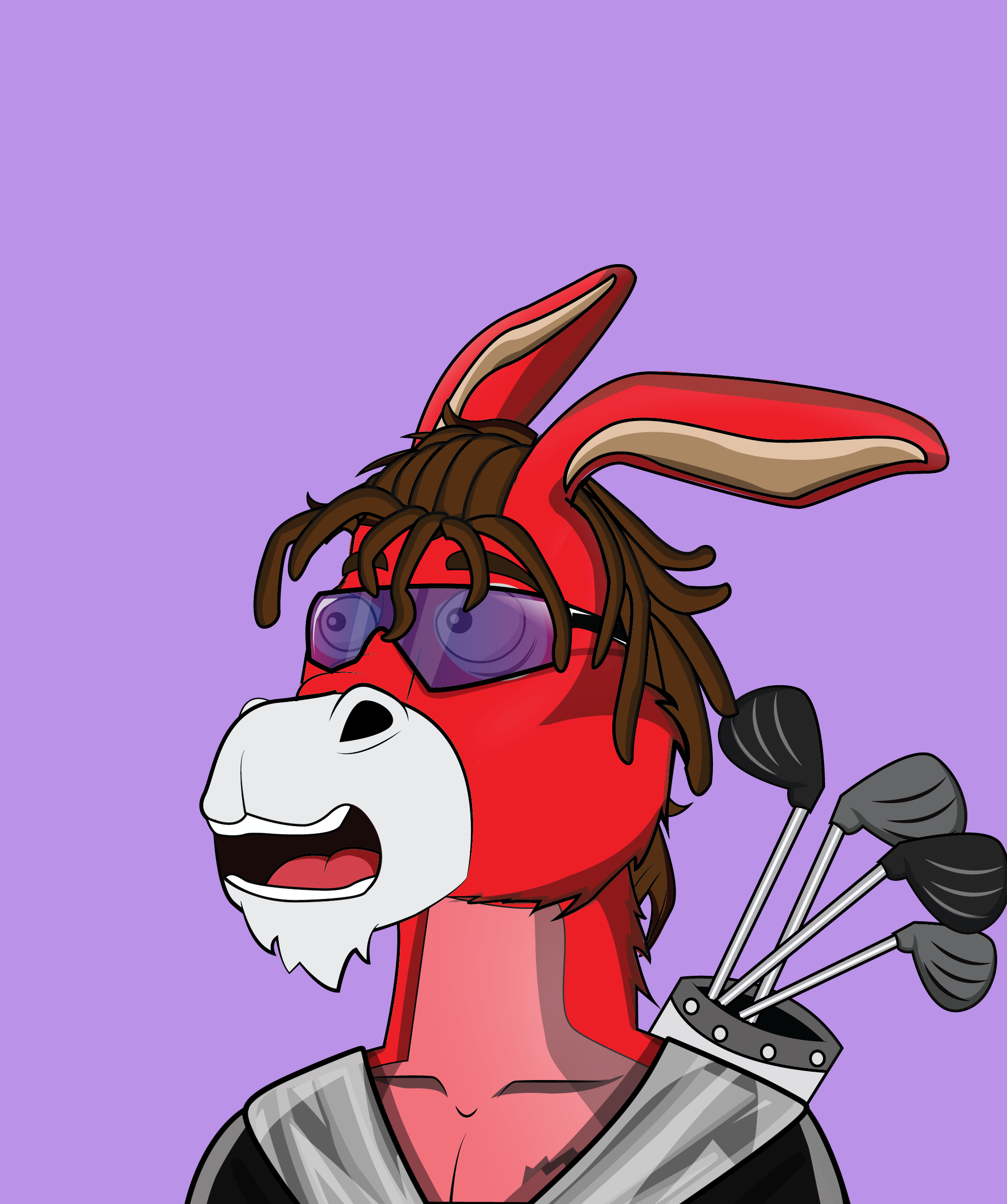 Donkey 2811 NFT on Algorand