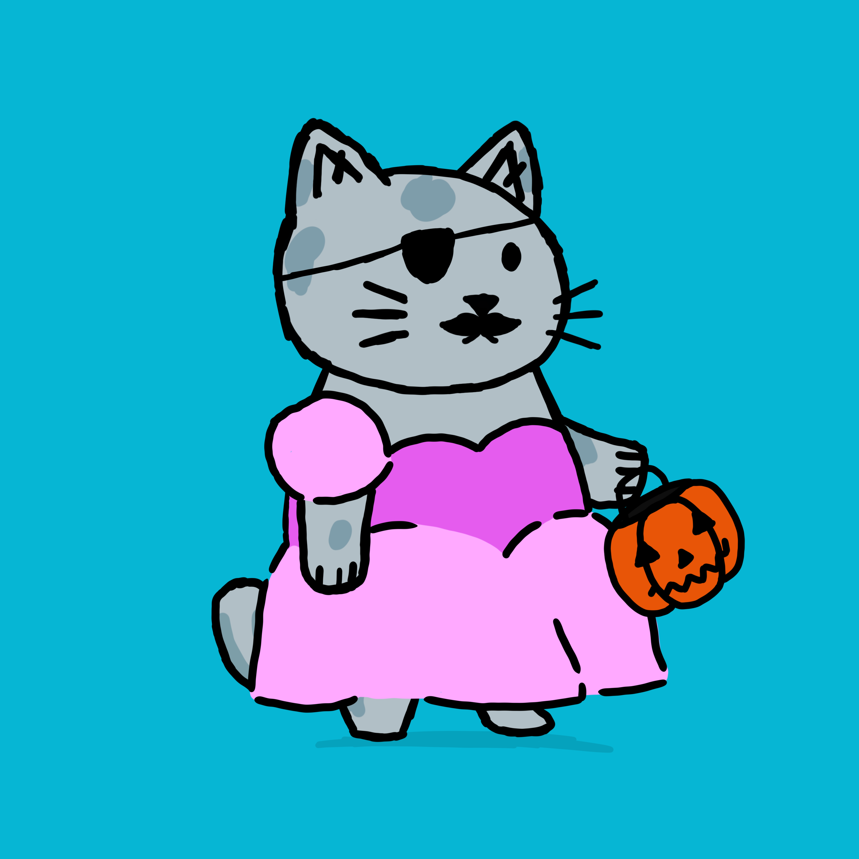 SK4L #721 NFT on Algorand