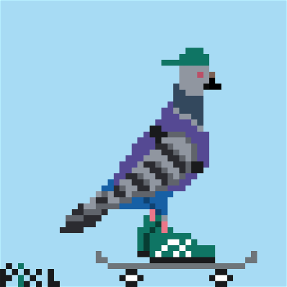 Skateboarder Pigeon