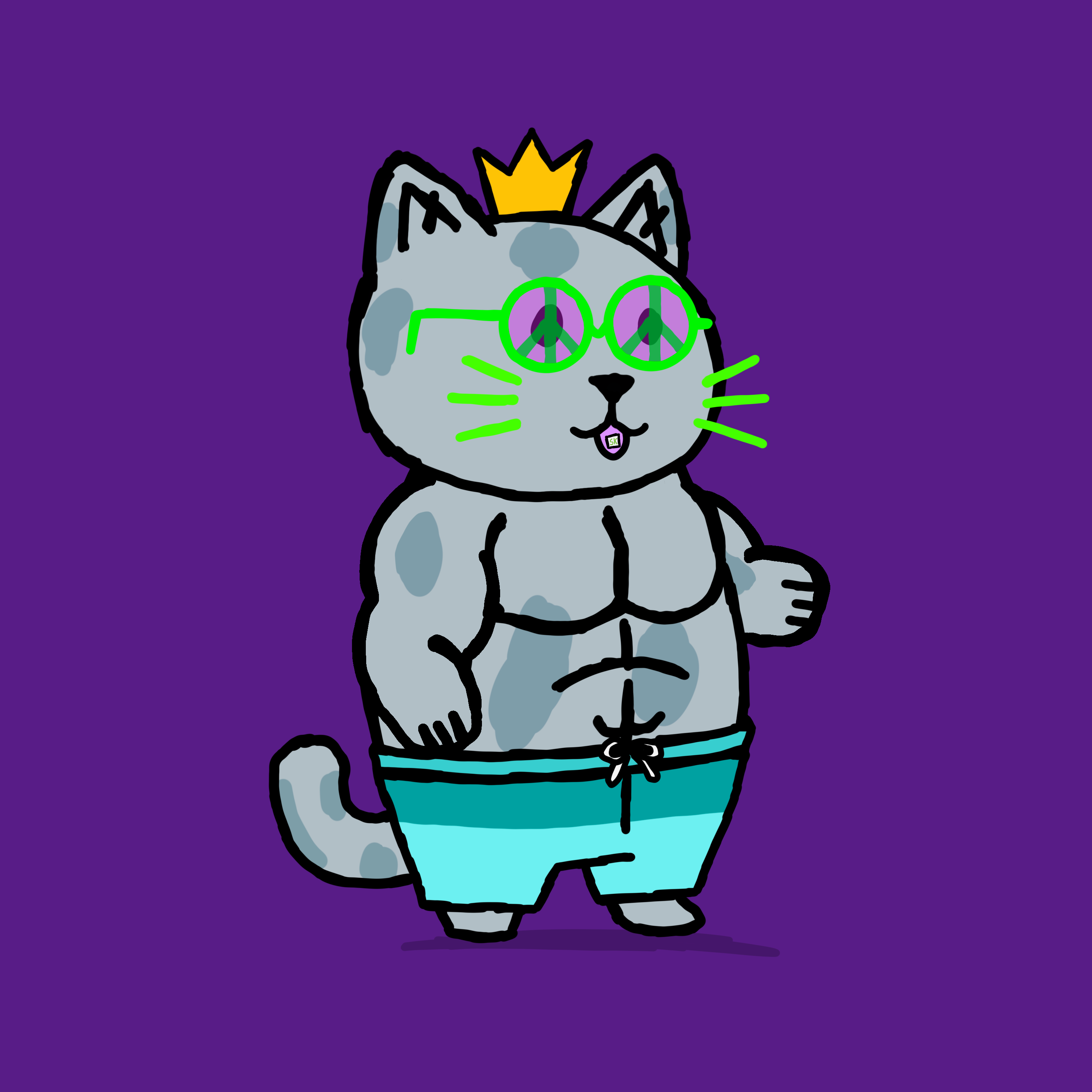 SK4L #811 NFT on Algorand