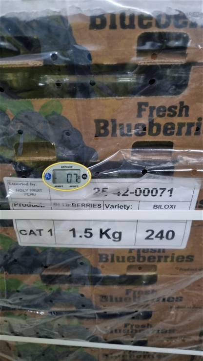 Blueberries 25-42-00071 - temp