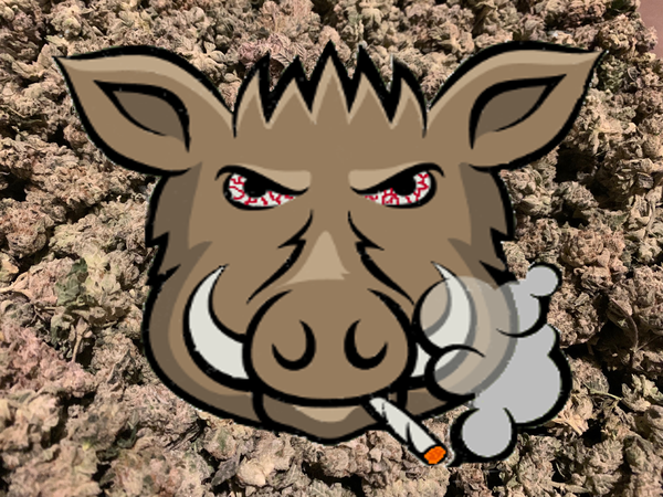 Image of High Hog Reborn #19