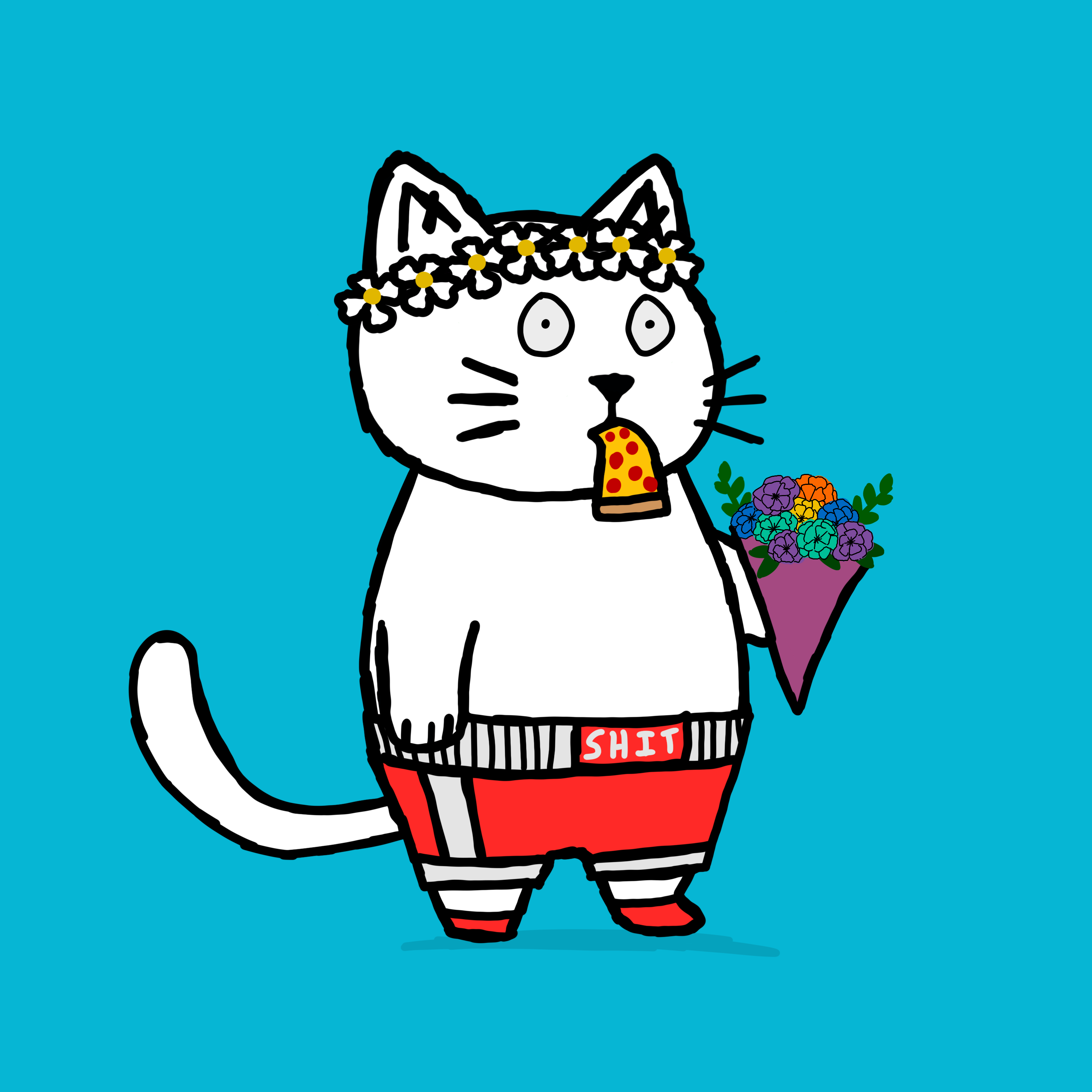 SK4L #1010 NFT on Algorand