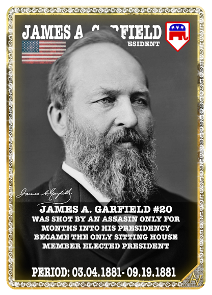 AVP D20 - James A. Garfield