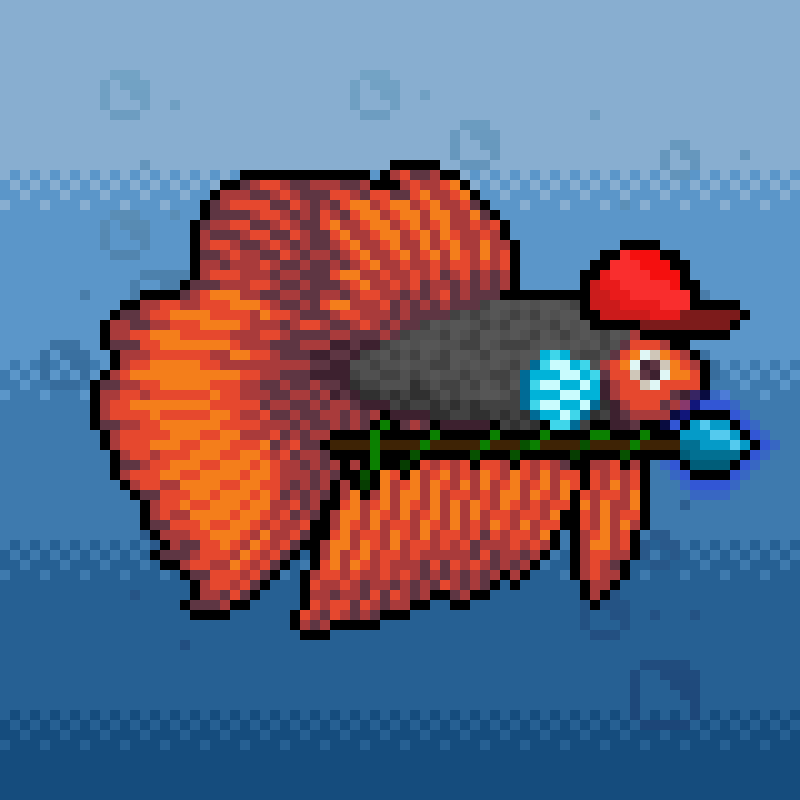 Fighting Fish #1709 NFT on Algorand