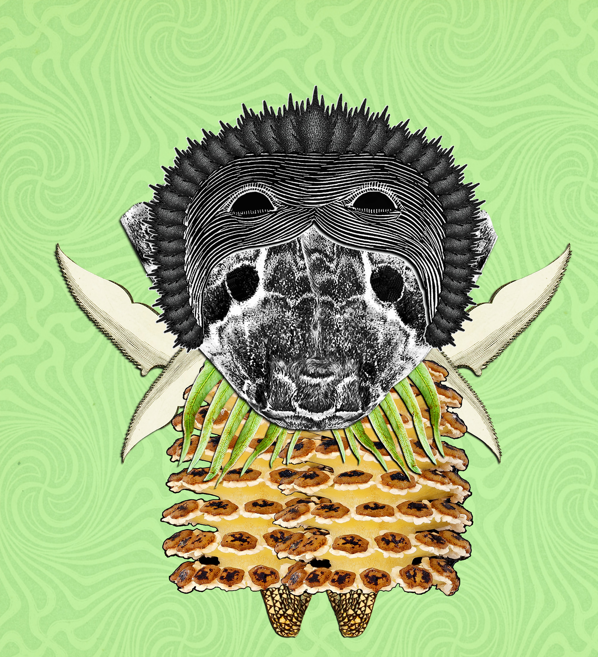 Hopium Warriors #369 NFT on Algorand