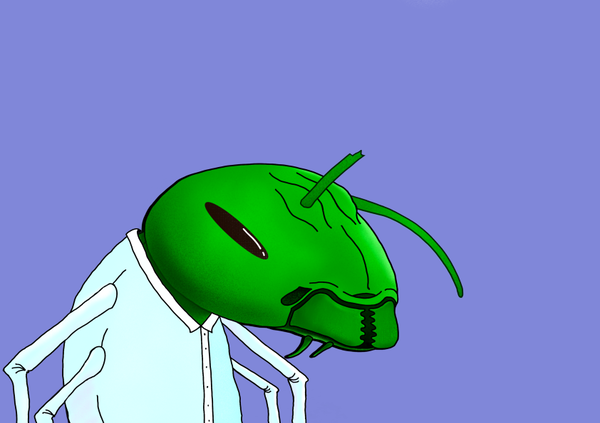 An image of Algo Ant 192