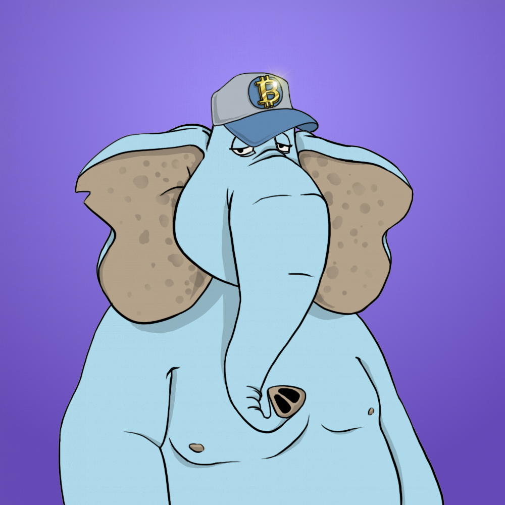 AFK Elephant #2902 NFT on Algorand
