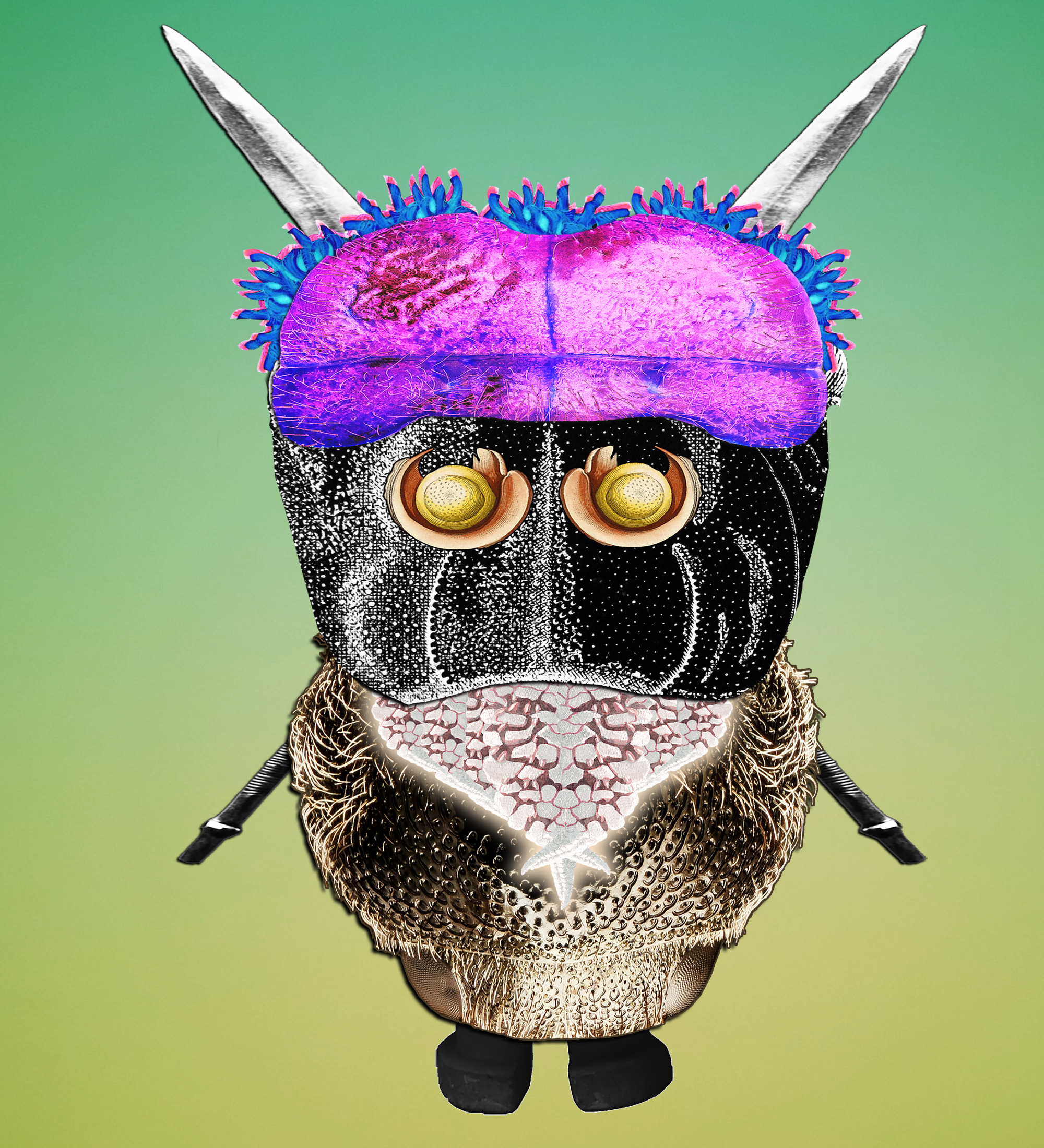 Hopium Warriors #262 NFT on Algorand