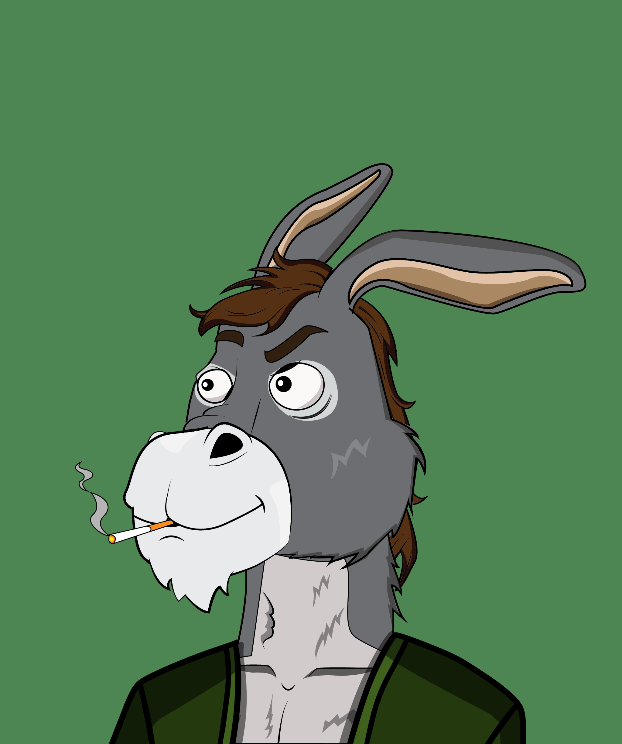 Donkey 2807 NFT on Algorand