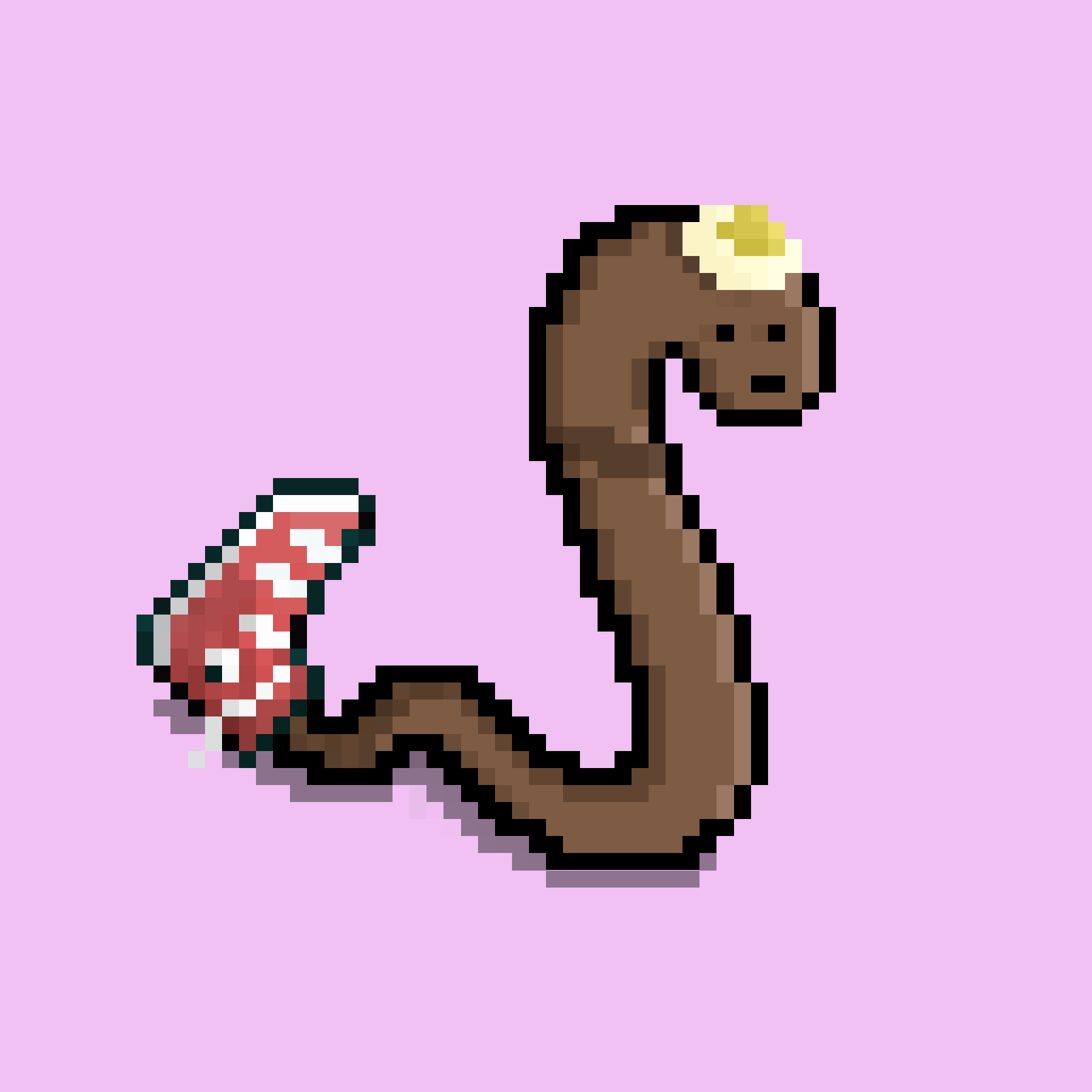 WORM #165 NFT on Algorand