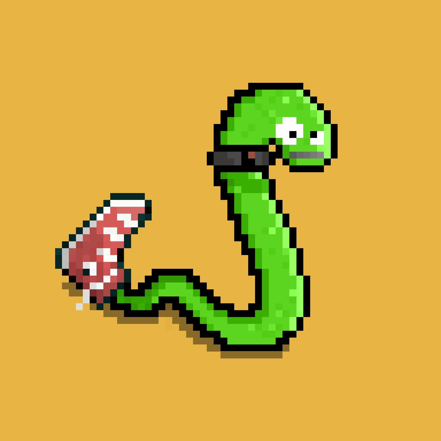 WORM #202 NFT on Algorand