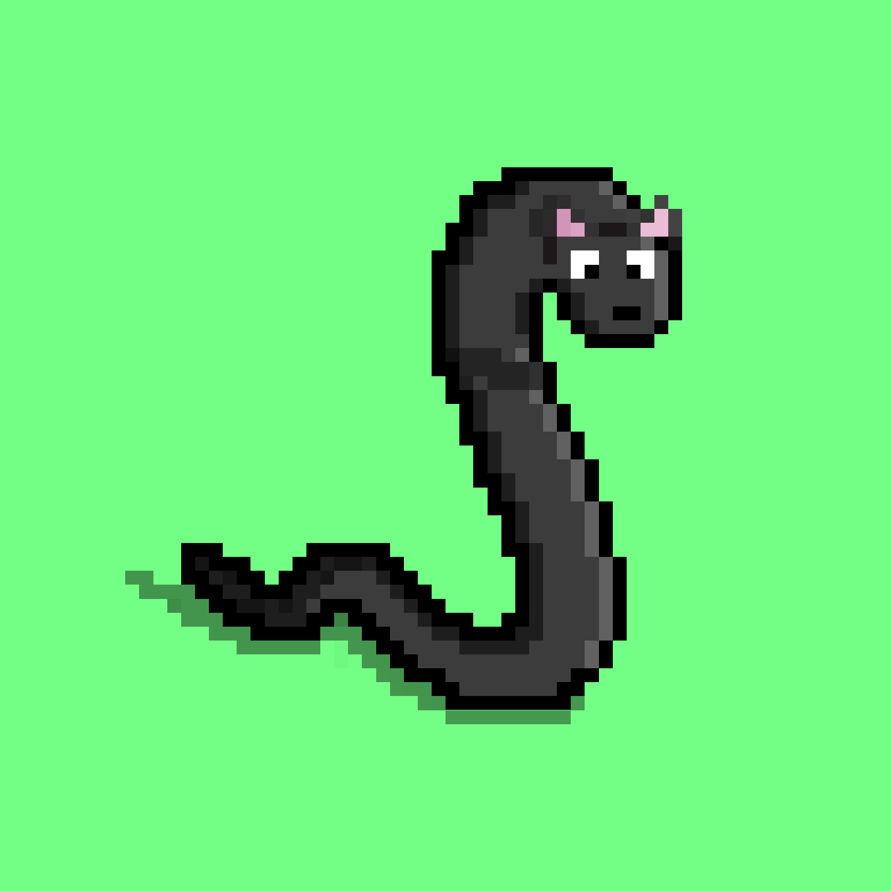 WORM #316 NFT on Algorand