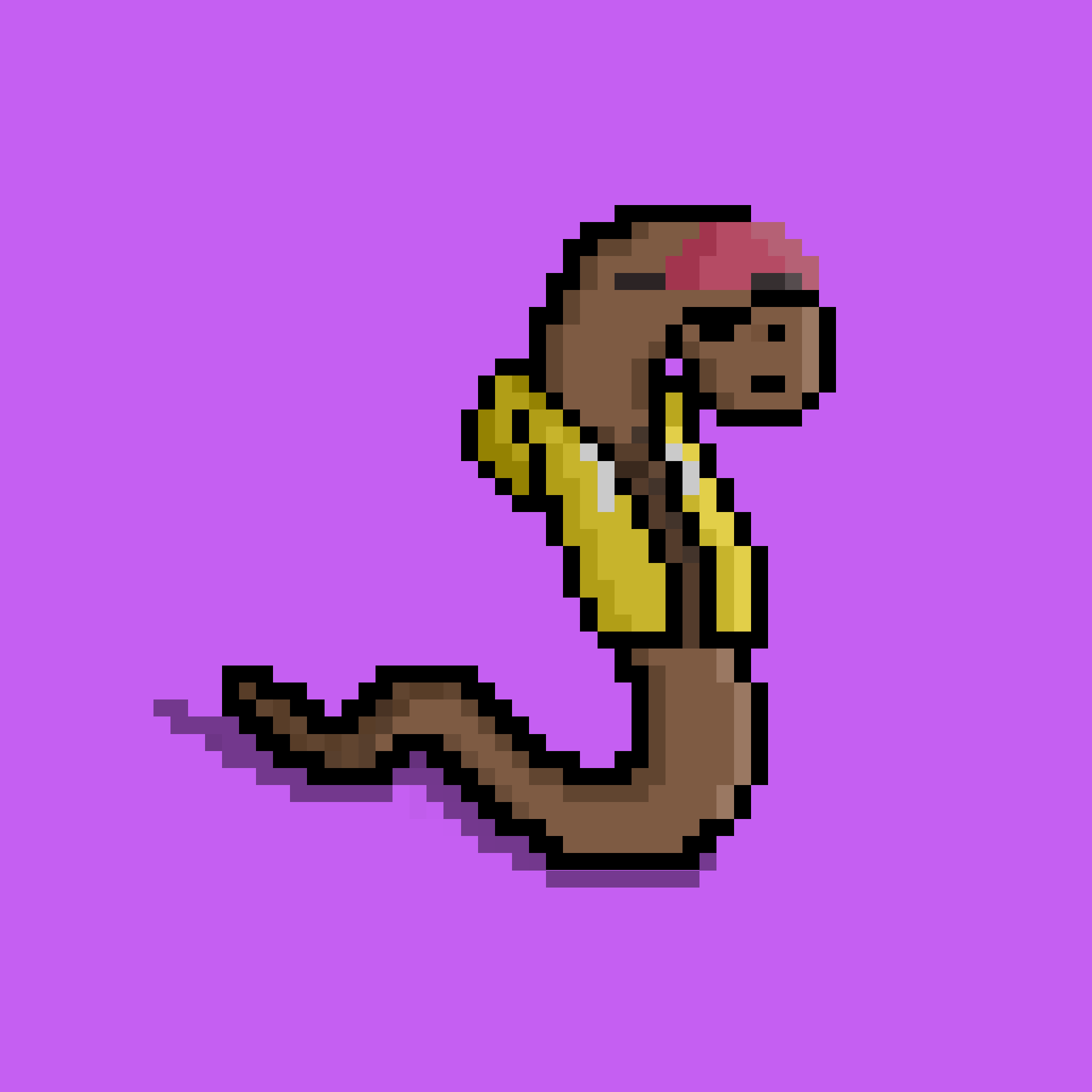 WORM #799 NFT on Algorand