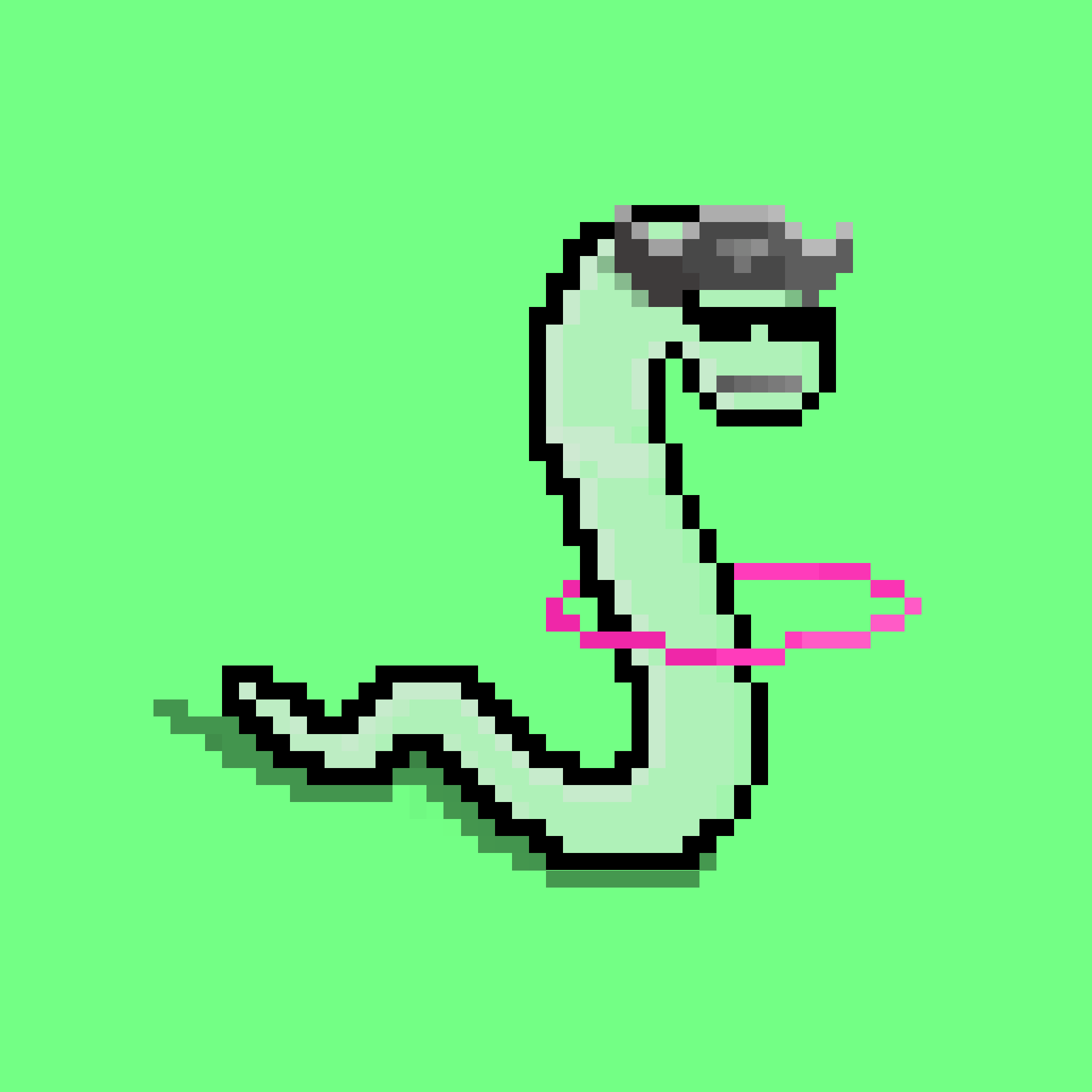 WORM #804 NFT on Algorand