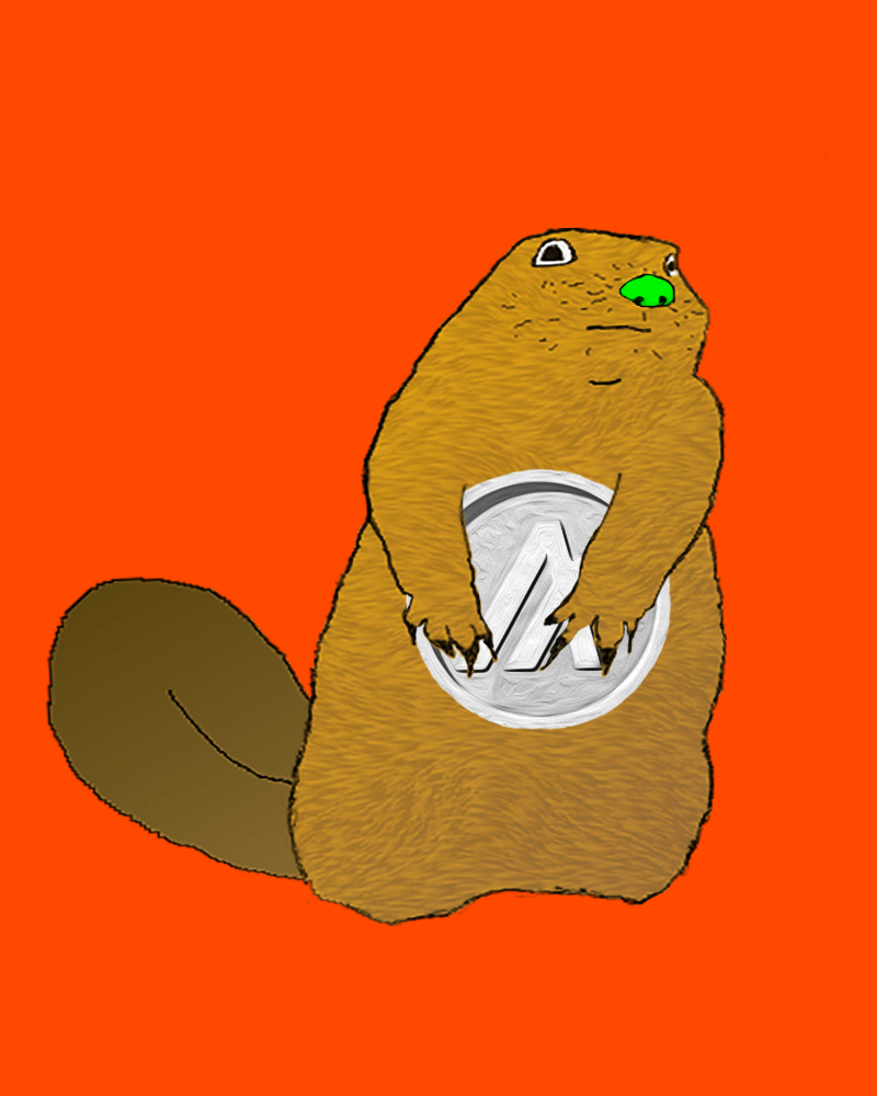 AlgoBeaver #30 NFT on Algorand