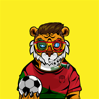Football TigerChi #0863