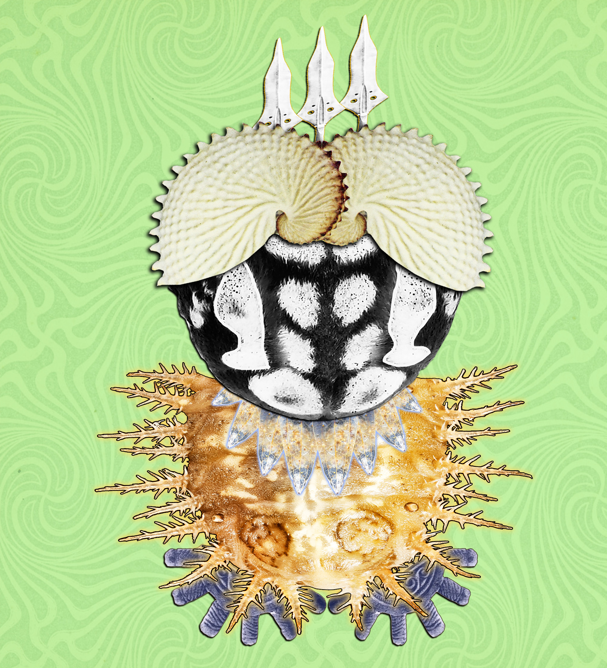 Hopium Warriors #321 NFT on Algorand