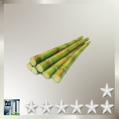Sugarcane Q7 (#5)