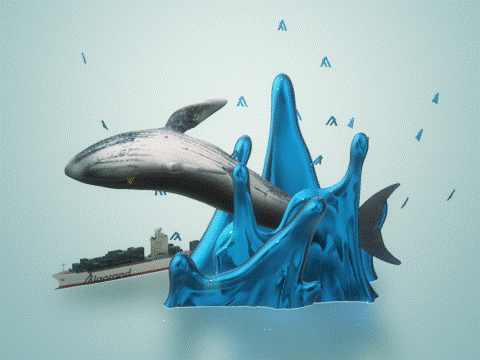 Algo Whales: Blue Edition