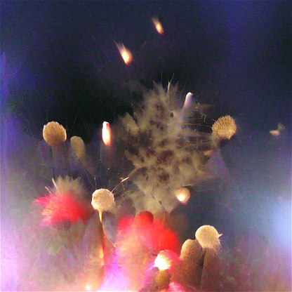 RandomGen#032 Fireworks
