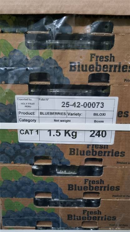 Blueberries 25-42-00073
