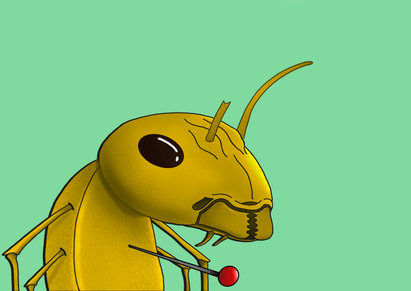 Algo Ant 463 NFT on Algorand