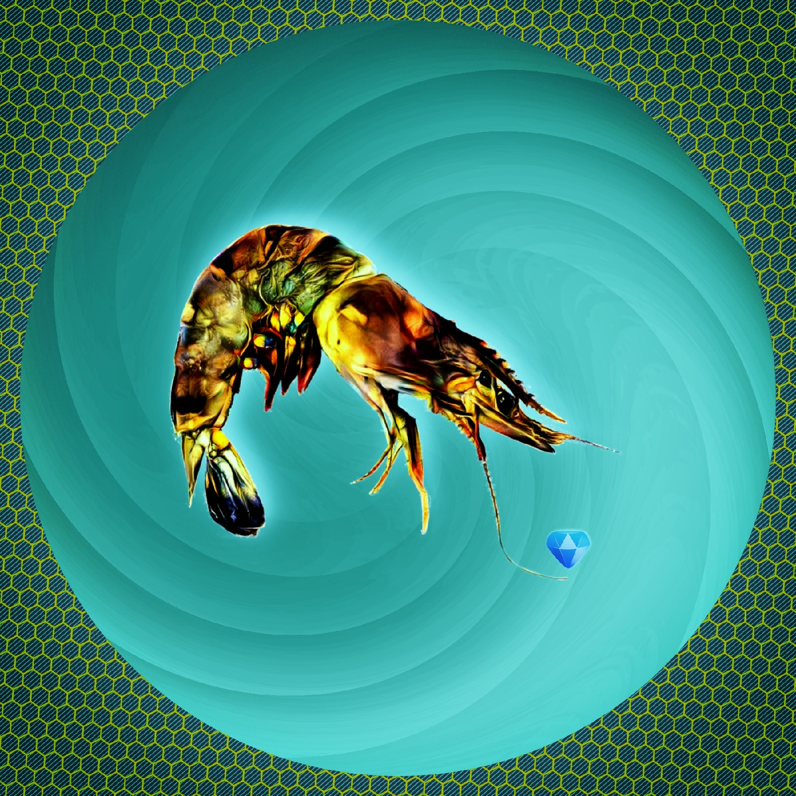 GEM shrimp Johny NFT on Algorand