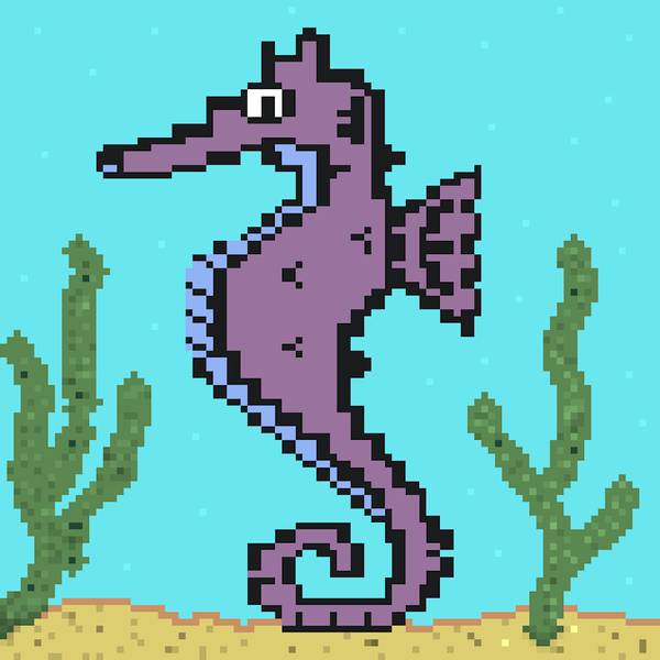 An image of Algo Seahorse #47