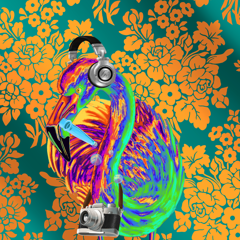 ReallyRichFlamingo #244 NFT on Algorand