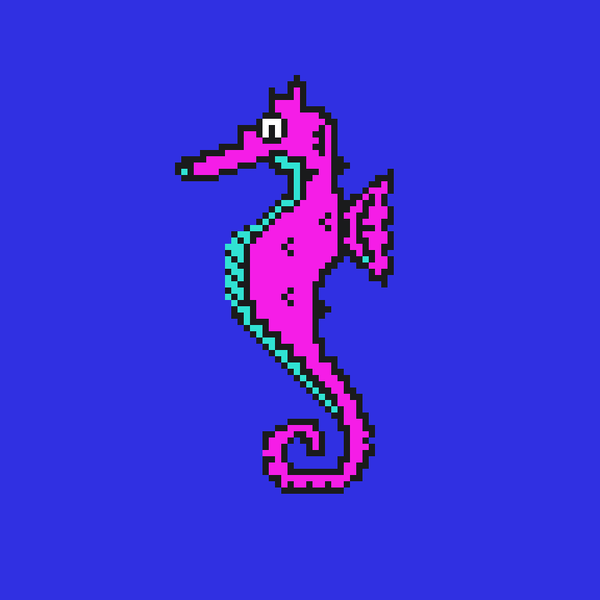 An image of Algo Seahorse #16