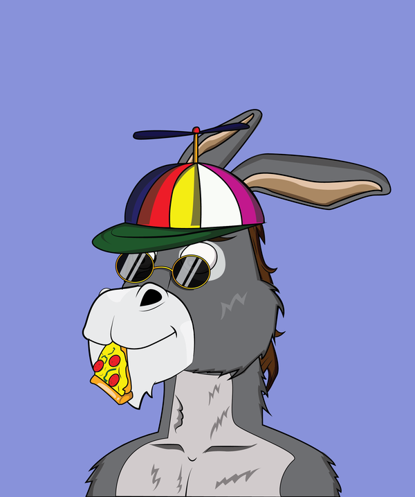 An image of Donkey 1002