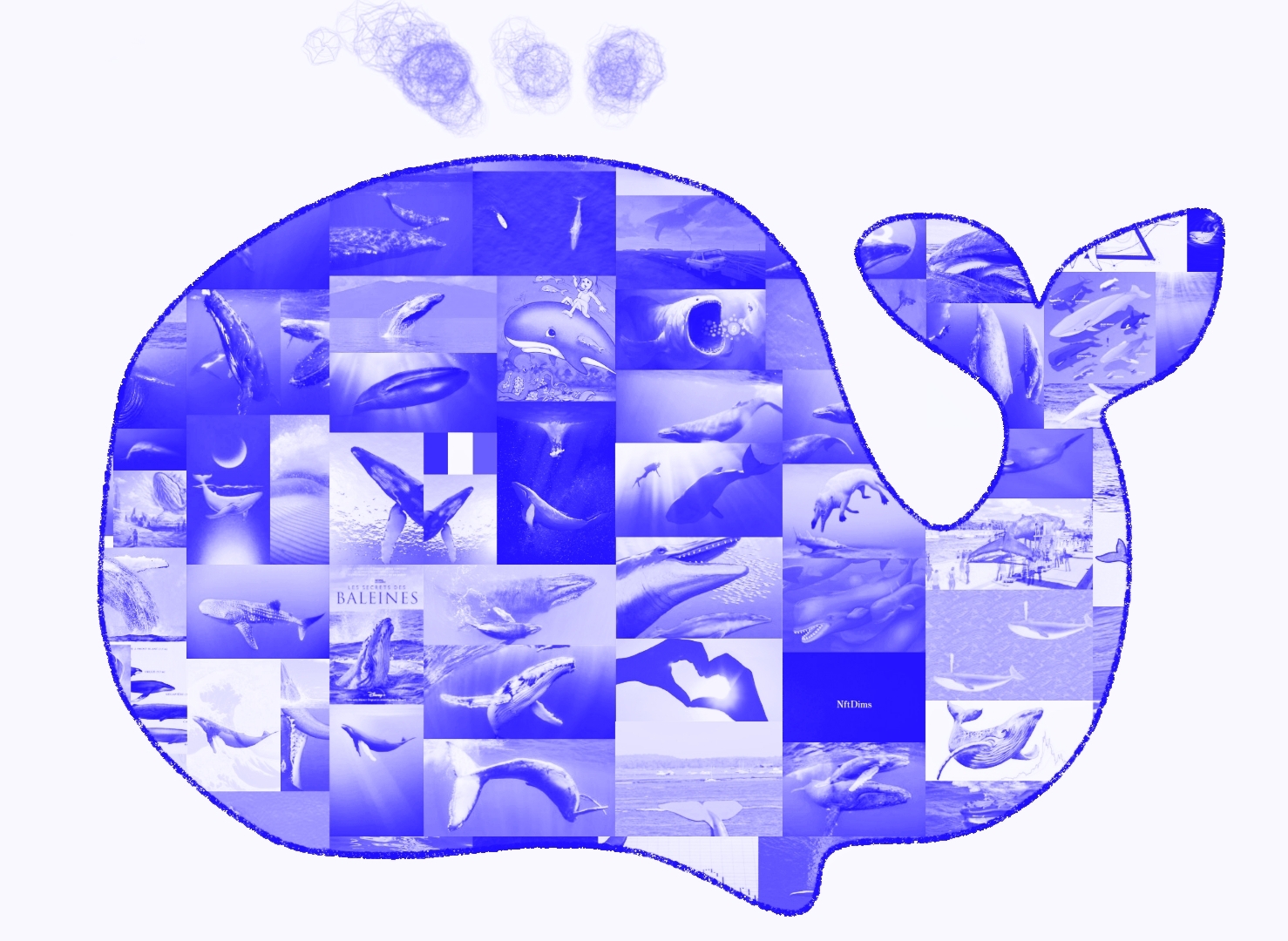 Whales in Whale #BluePale NFT on Algorand