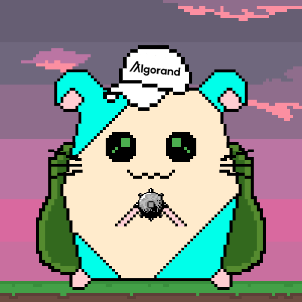 An image of #30 Algo Hamster