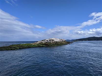 Vancouver Island Islands